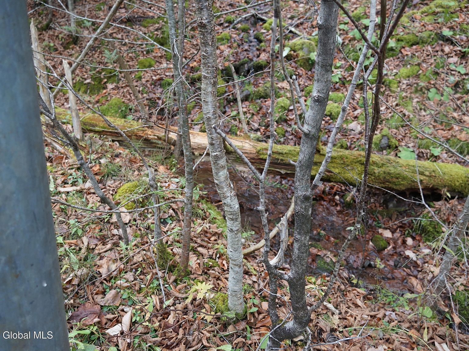 LOT Mount Eden Estates Rd West Kill, NY 12492 | Land/Lot