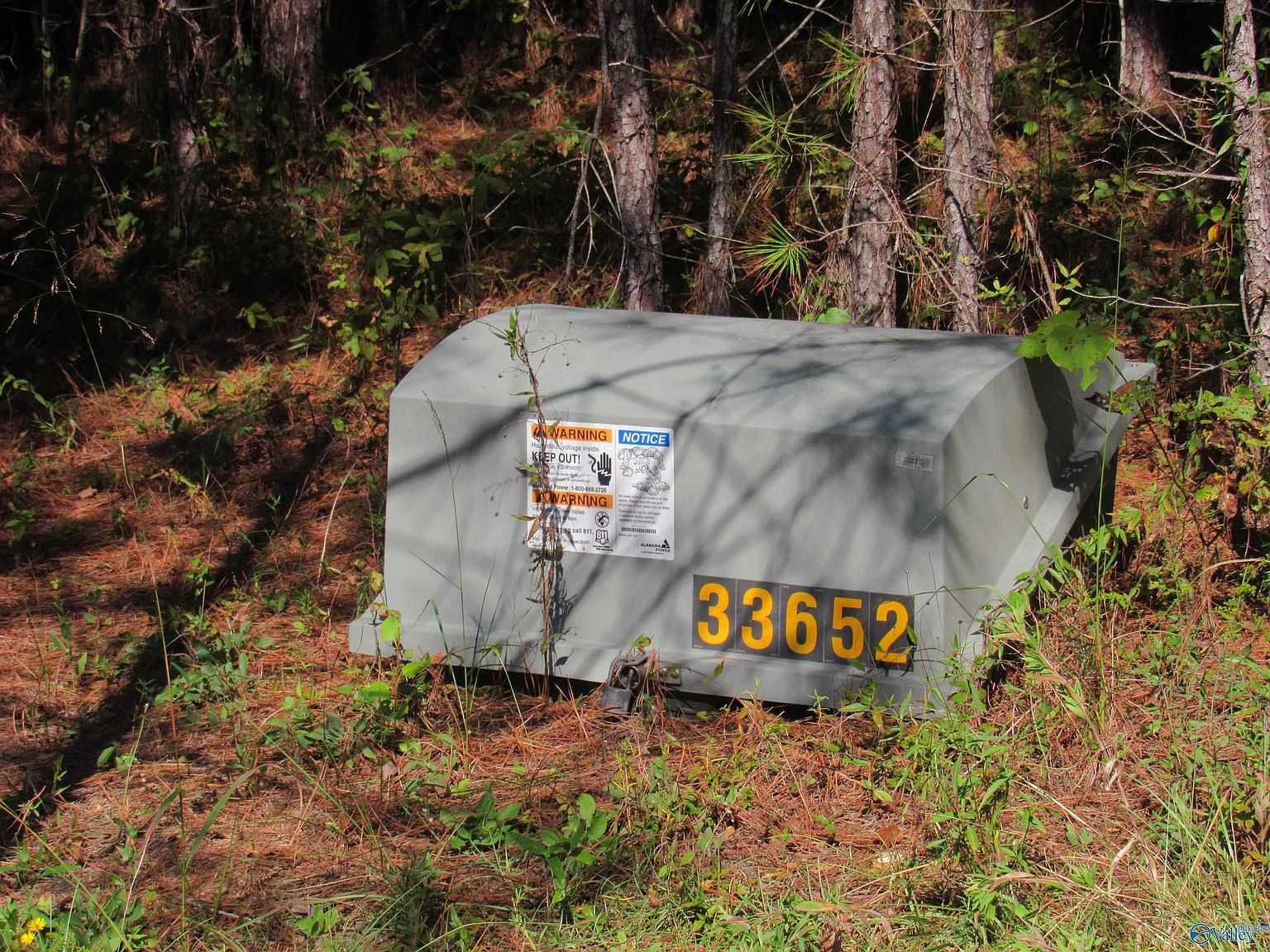 115 County Road 182 Crane Hill, AL 35053  | Land/Lot