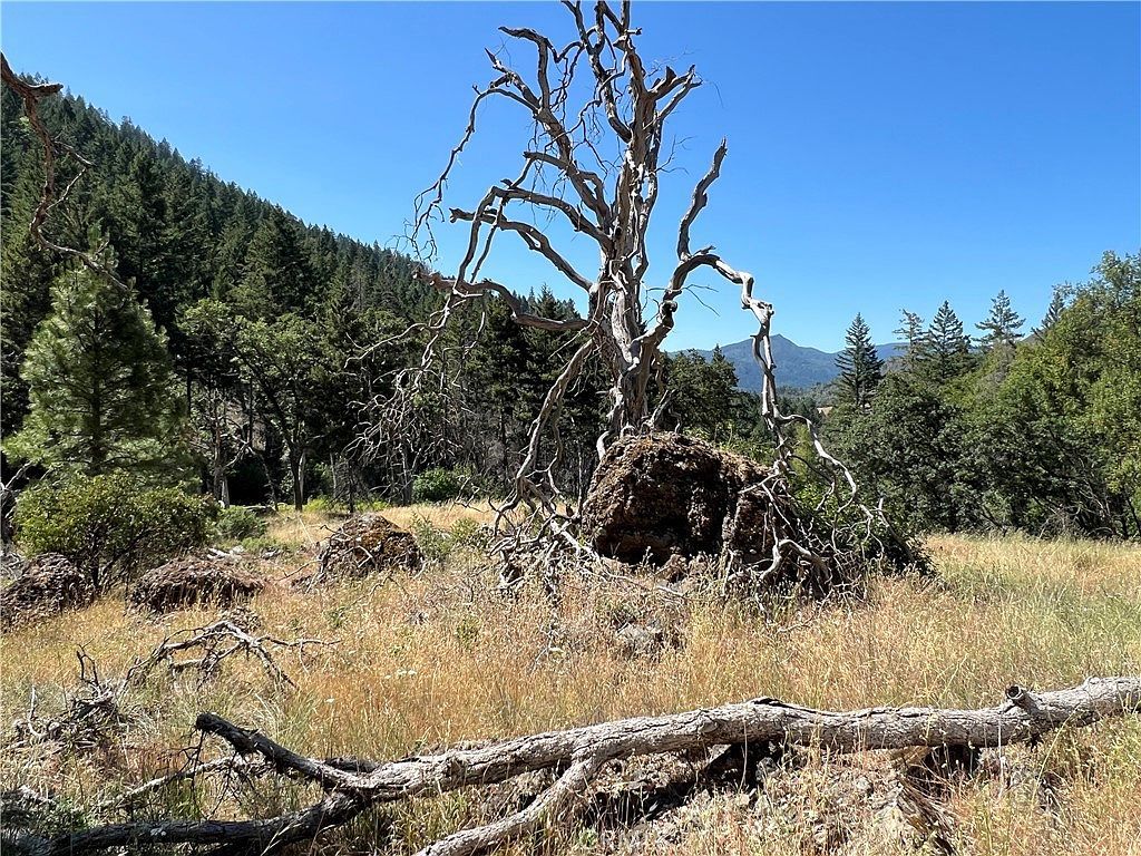 20925 Mid Mountain Rd Potter Valley, CA 95469  | Land/Lot