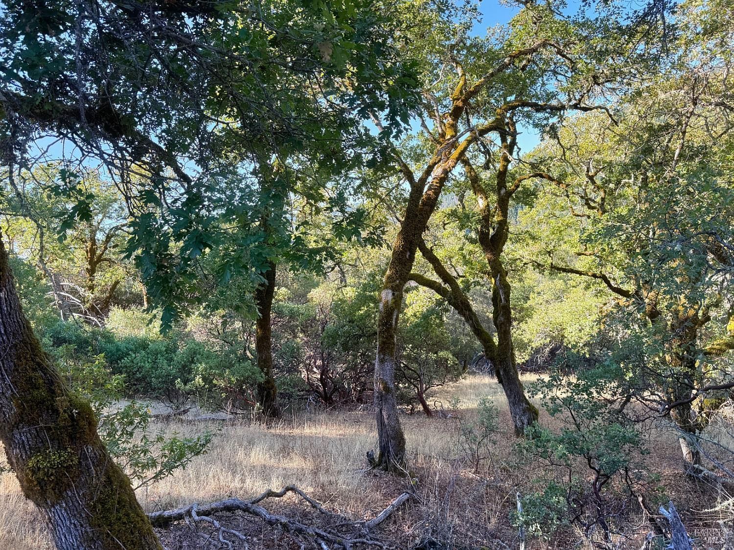 18225 Scenic Dr Redwood Valley, CA 95470  | Land/Lot