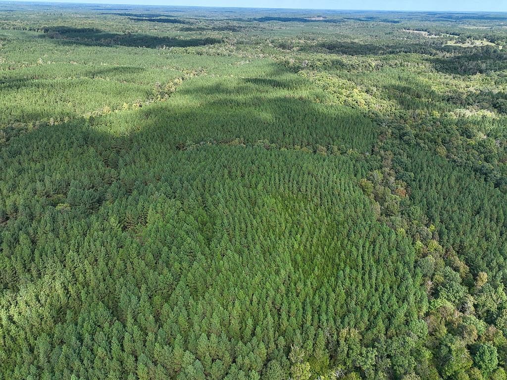 Virgilina Rd Virgilina, VA 24598  | Land/Lot