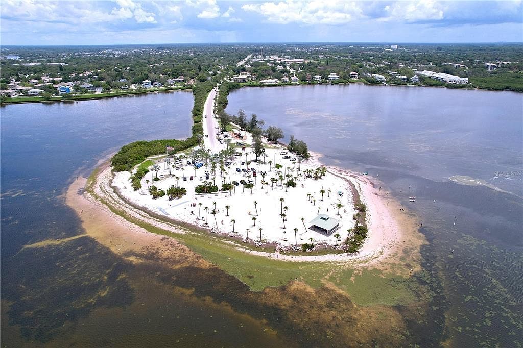 1445 Coburn Dr Tarpon Springs, FL 34689  | Single Family