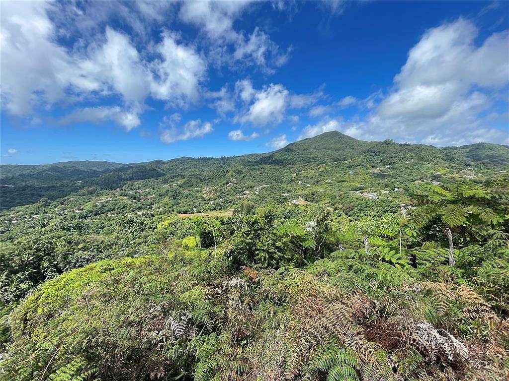 State Highway 518 #KM100 Adjuntas, PR 00601  | Land/Lot