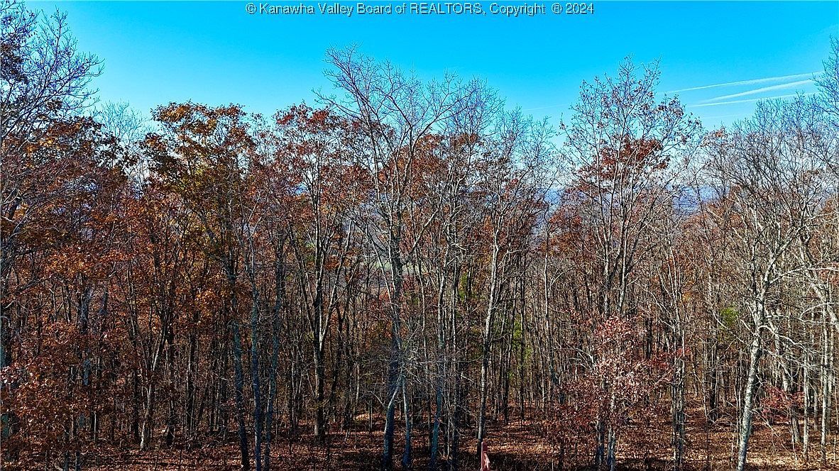 97 White Rock Trl Caldwell, WV 24925 | Land/Lot