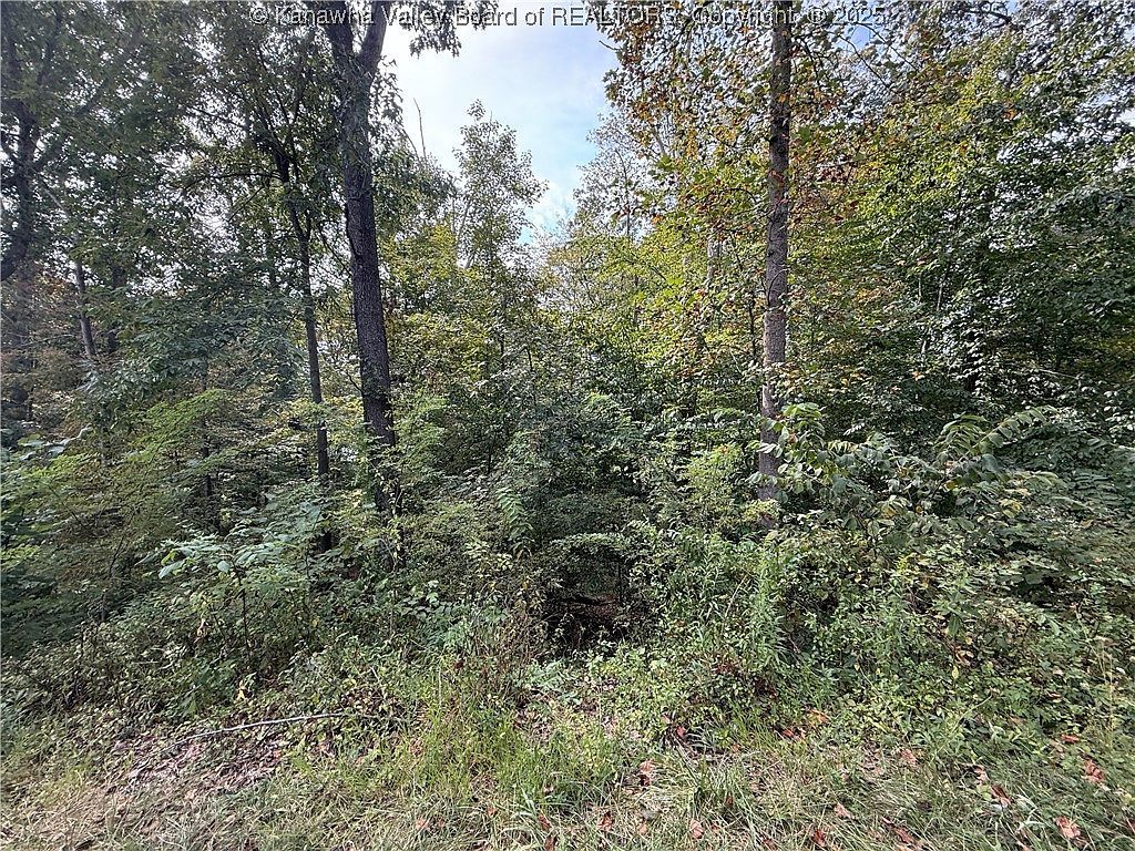 1189 Hillcrest Dr Saint Albans, WV 25177 | Land/Lot