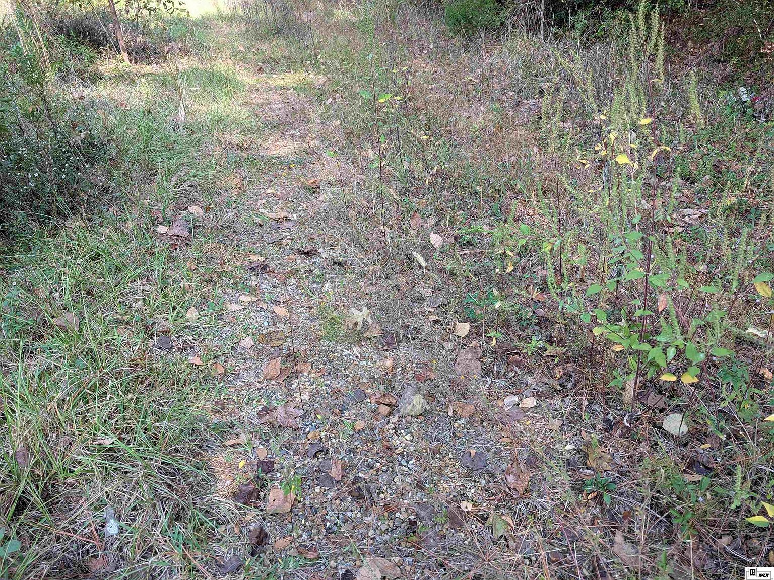 0 Rodeo St Jonesboro, LA 71251 | Land/Lot