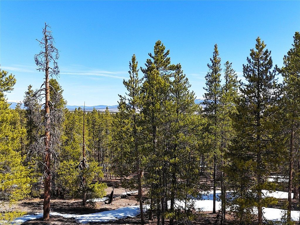 1033 Sequoia Dr Twin Lakes, CO 80461 | Land/Lot