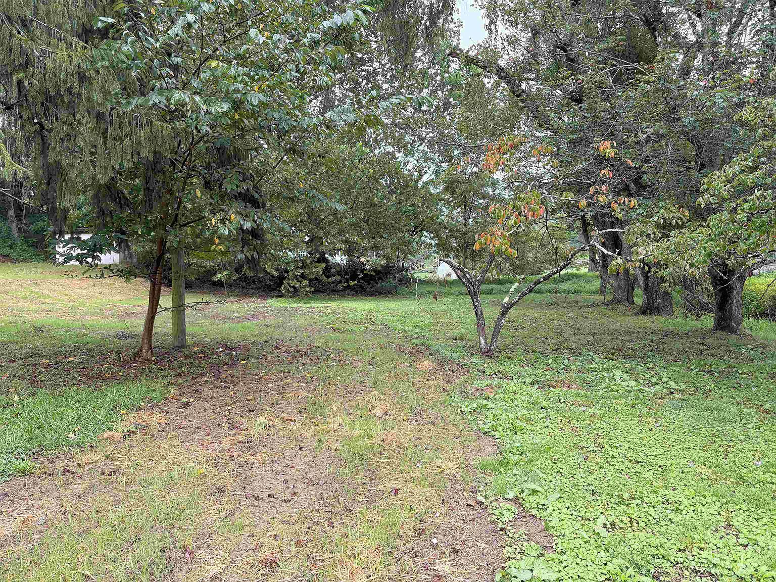 1439 Daniels Run Rd NE Check, VA 24072  | Single Family