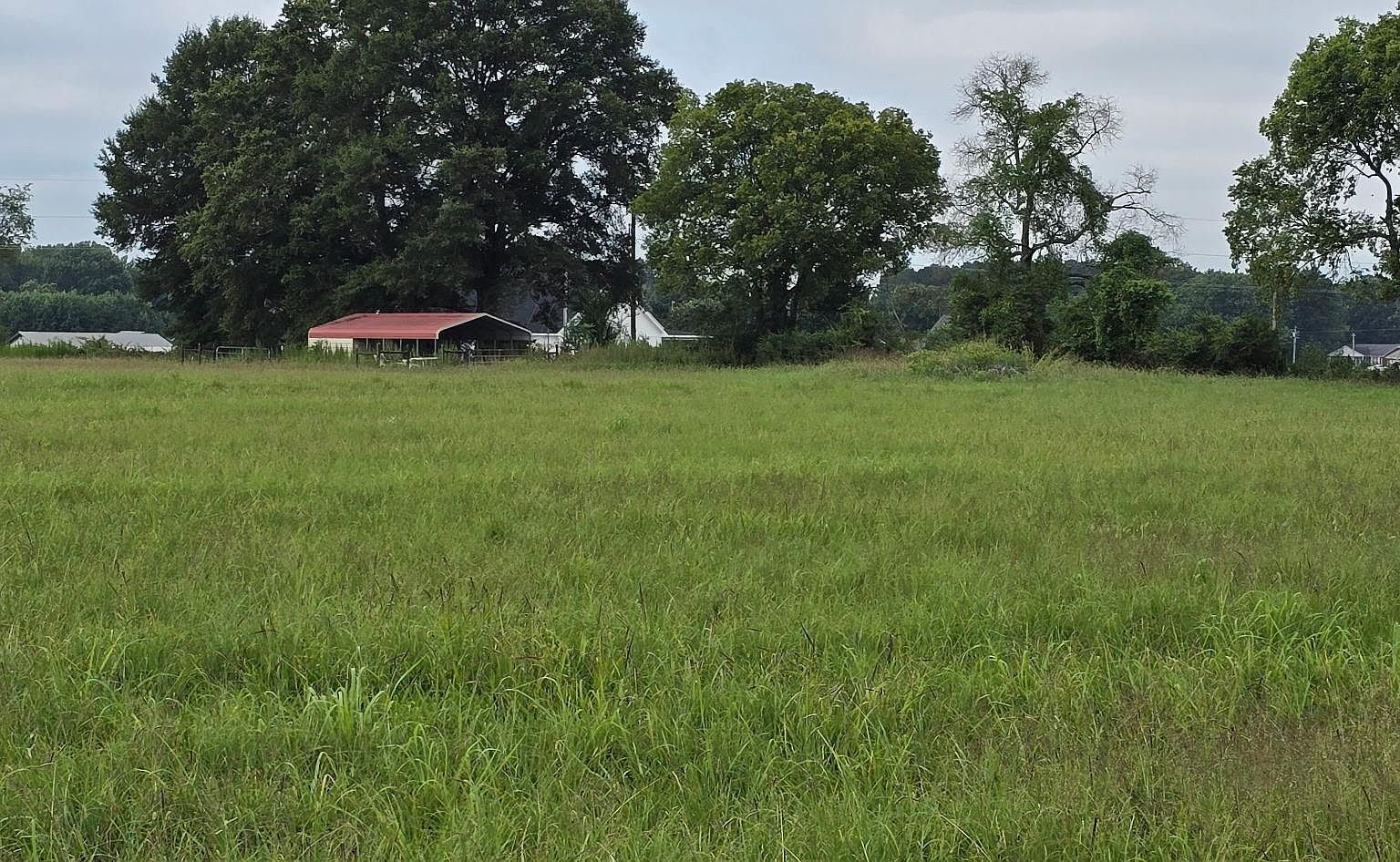 19444 Easter Ferry Rd Athens, AL 35614 | Land/Lot