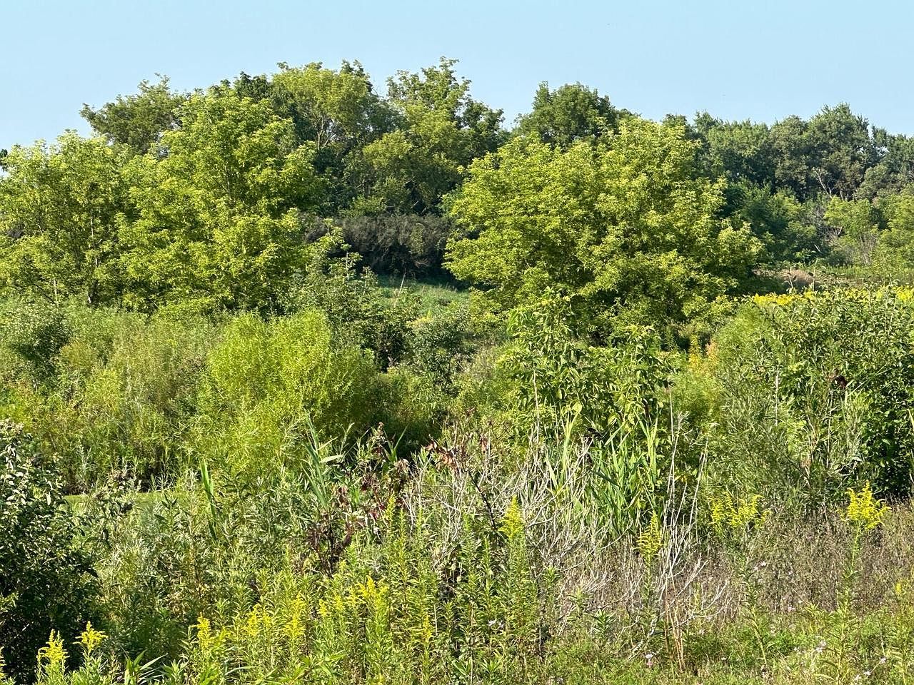 LOT 1 W Evergreen Pkwy Elkhorn, WI 53121 | Land/Lot