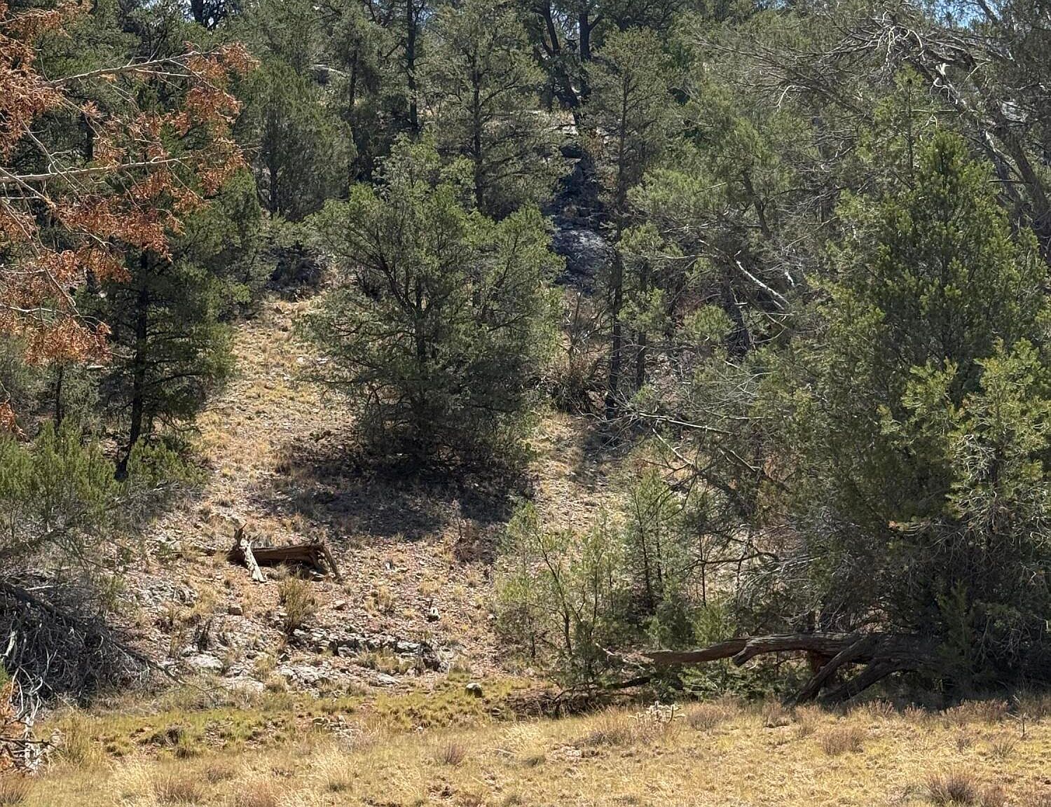 99 N Shadow Rock Trl Seligman, AZ 86337  | Land/Lot