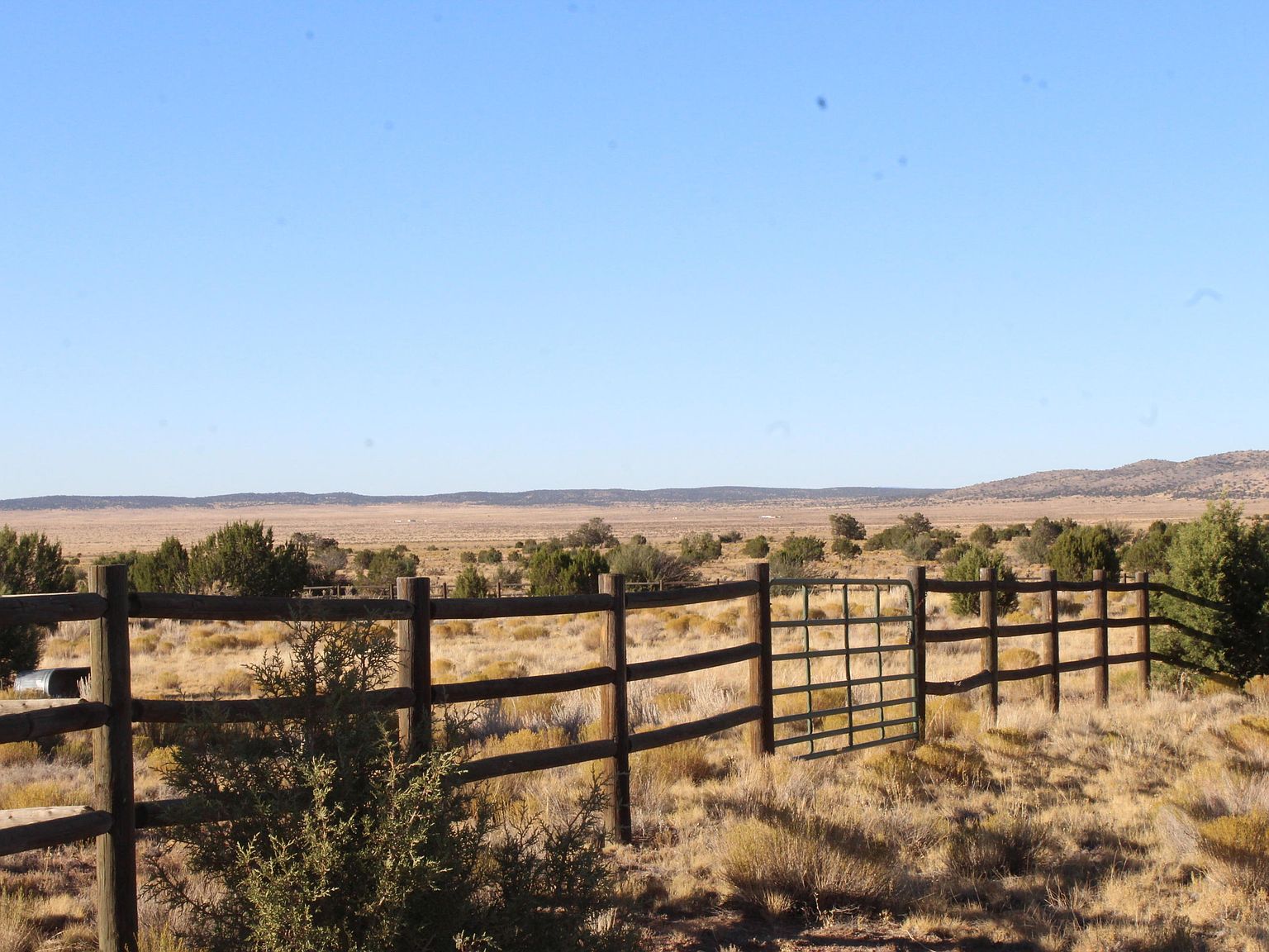 53750 N Wrangler Ridge Rd Seligman, AZ 86337 | Land/Lot