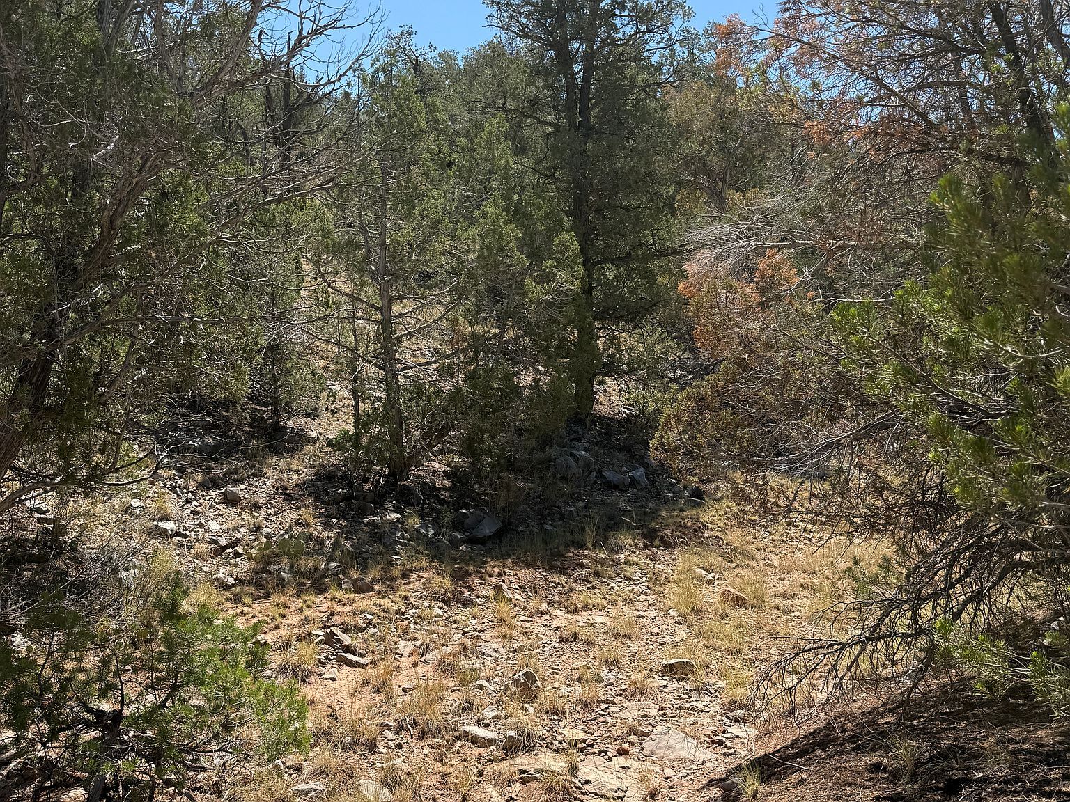 99 Shadow Rock Rnch Seligman, AZ 86337  | Land/Lot