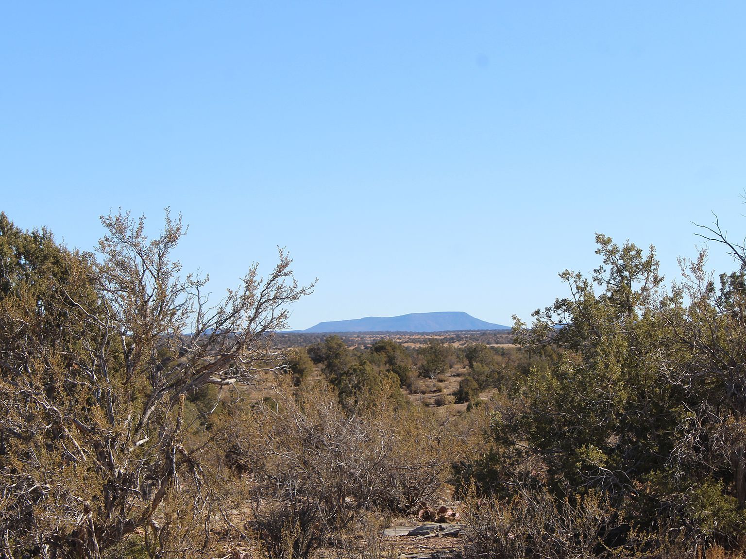 0 Greenview Ranches Seligman, AZ 86337  | Land/Lot