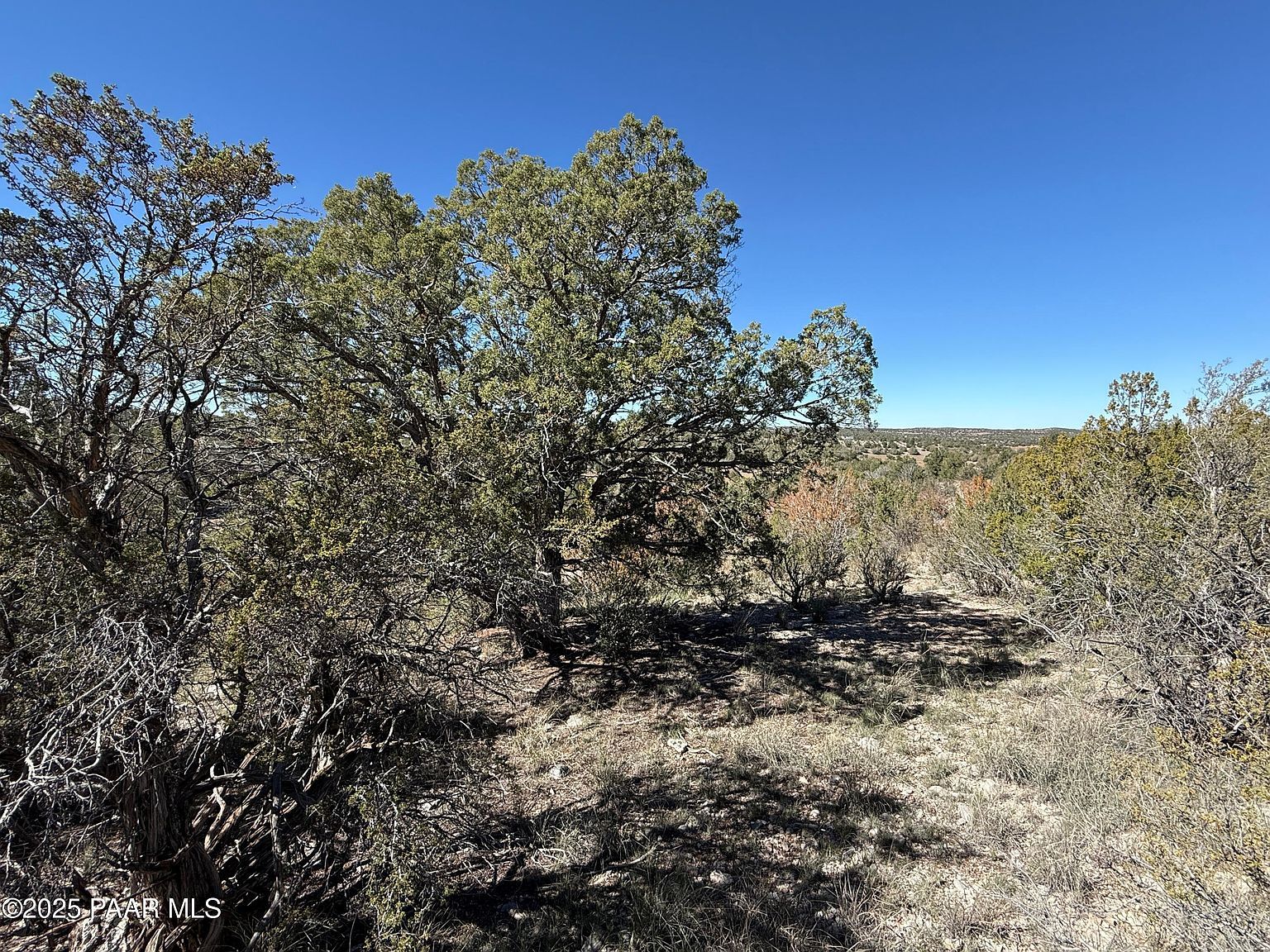 33367 W Hora Cir Seligman, AZ 86337  | Land/Lot
