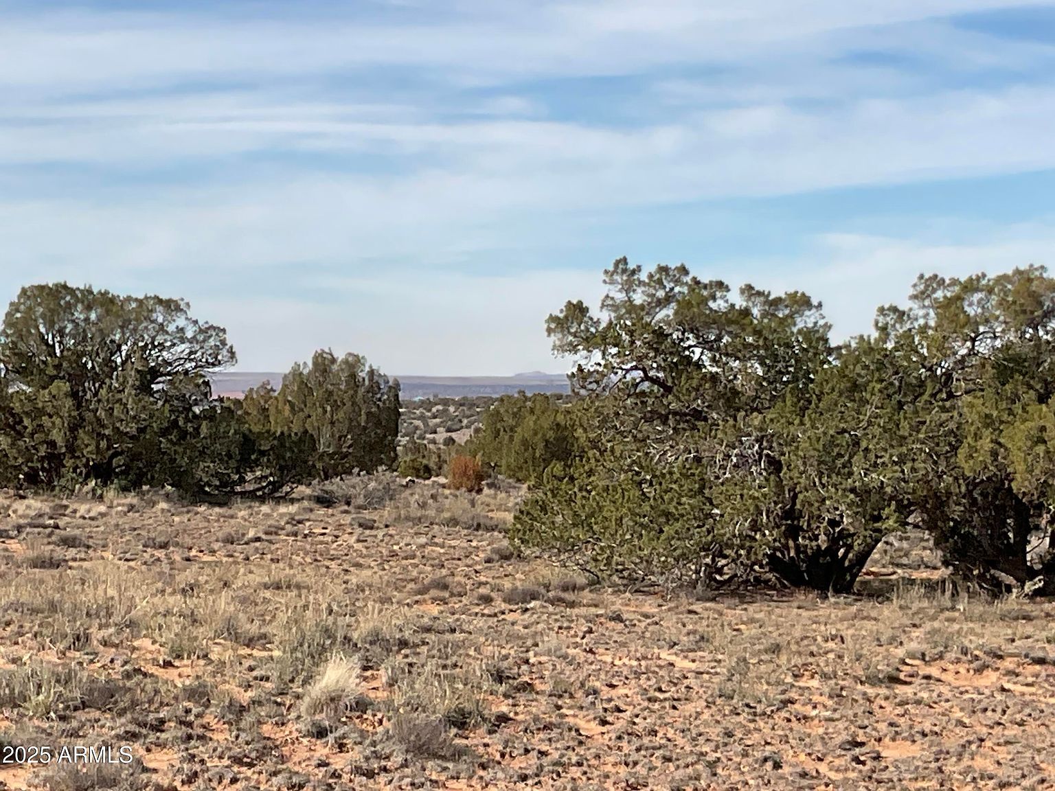 3868 Clyde Rd Snowflake, AZ 85937  | Land/Lot