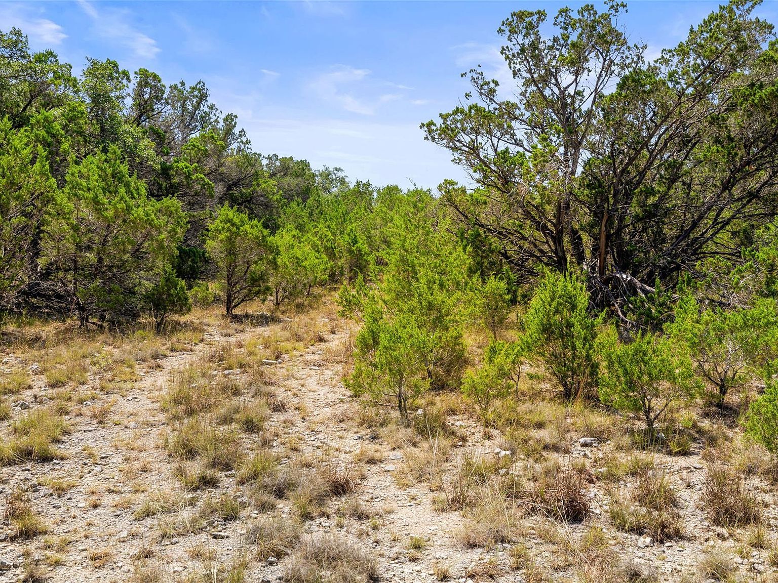 Lipan Run #1 Fischer, TX 78623  | Land/Lot