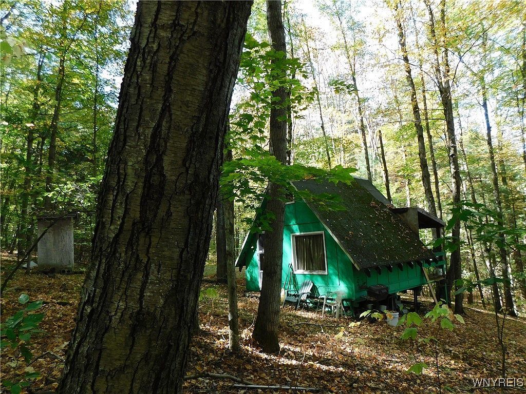 8005 Johnson Hill Rd LOT 2 Bolivar, NY 14715 | Land/Lot