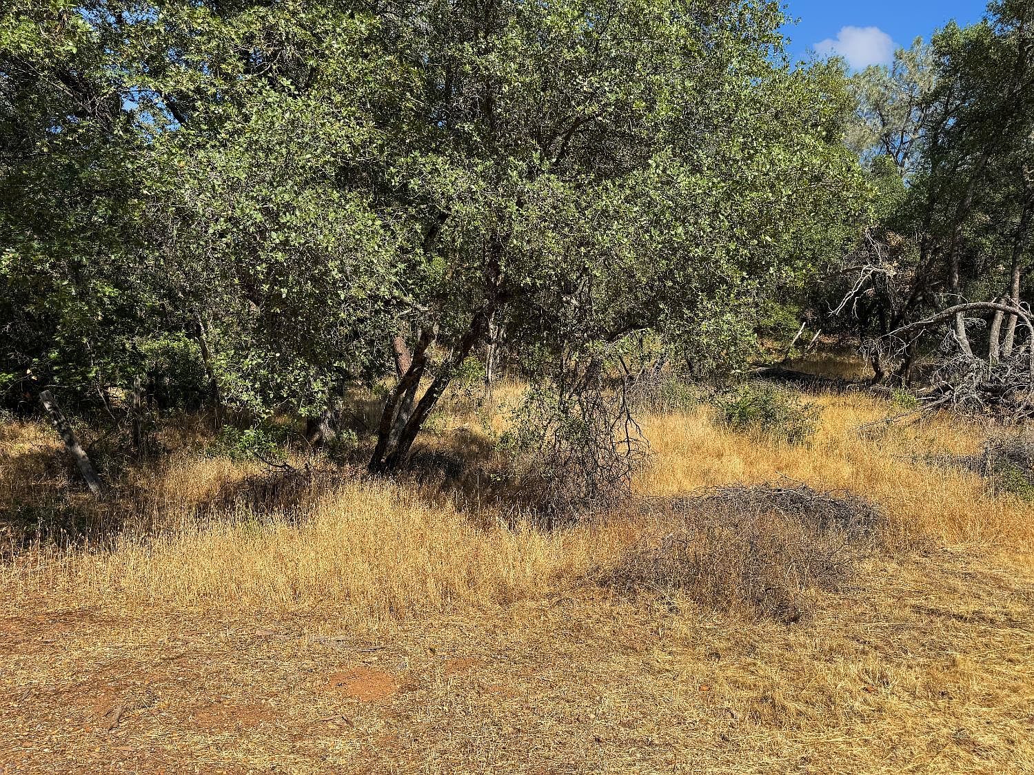 1001 Old Airport Rd Auburn, CA 95603  | Land/Lot