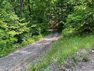 Oconnor Rd Hale, MI 48739 | Land/Lot