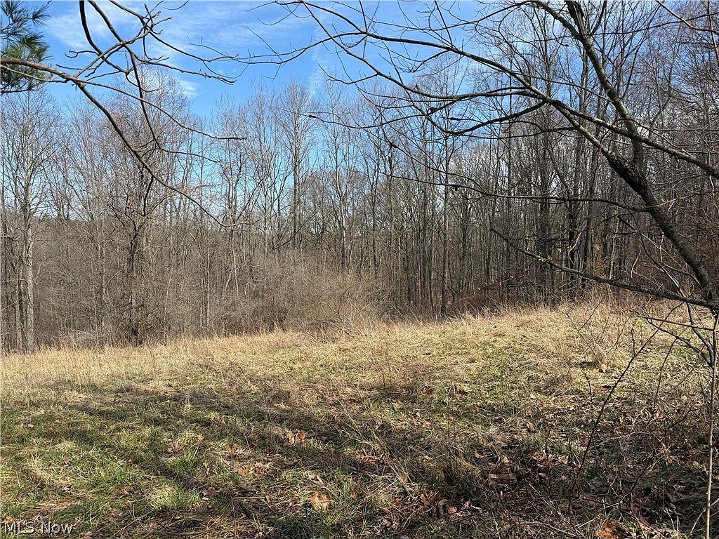 31100 Moravian Trl Tippecanoe, OH 44699  | Land/Lot