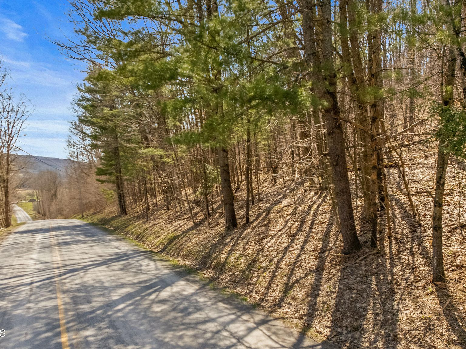 L9113 Lutheranville Rd E Worcester, NY 12197  | Land/Lot