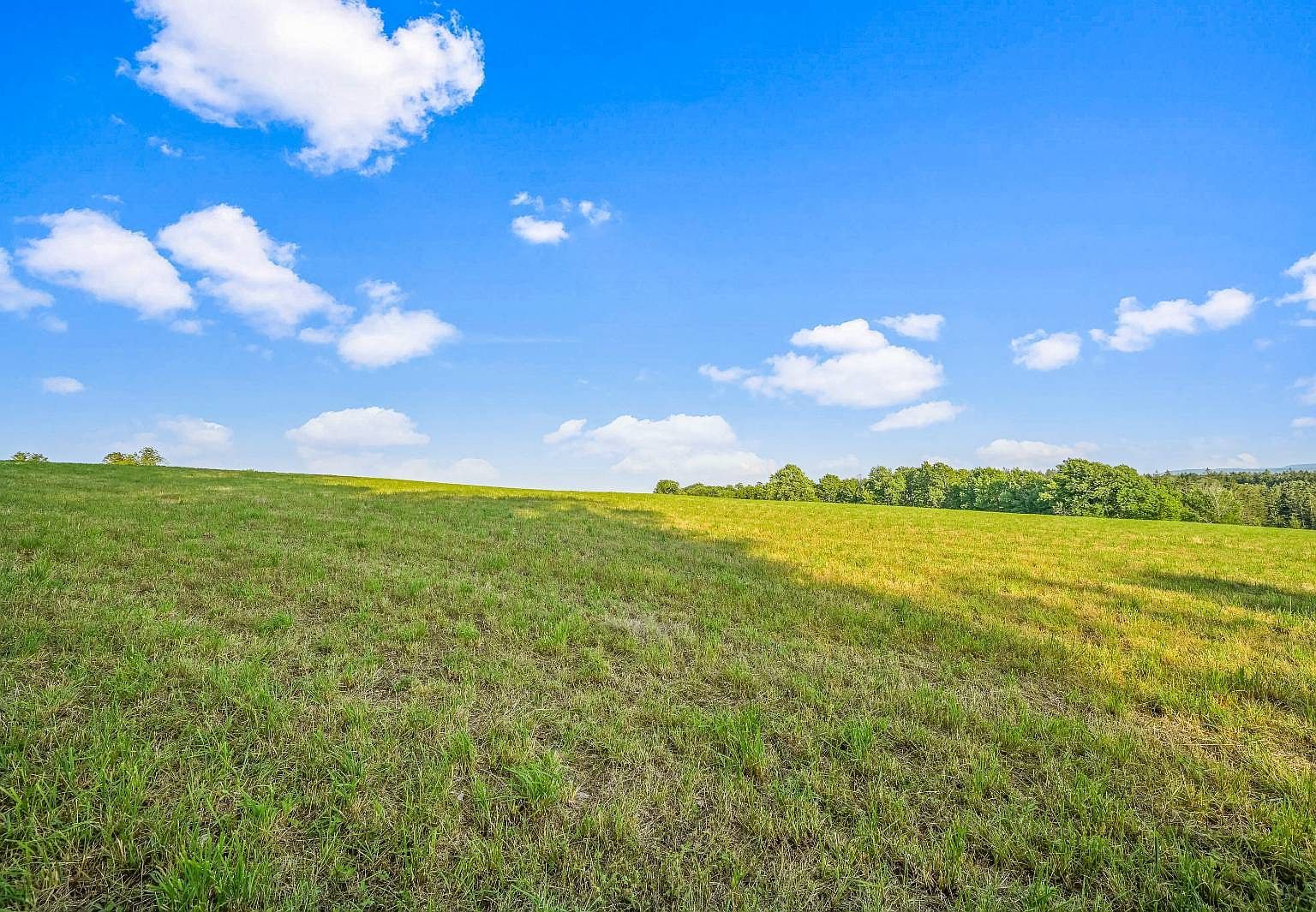 137 Stone Ridge Dr Charlotteville, NY 12036  | Land/Lot