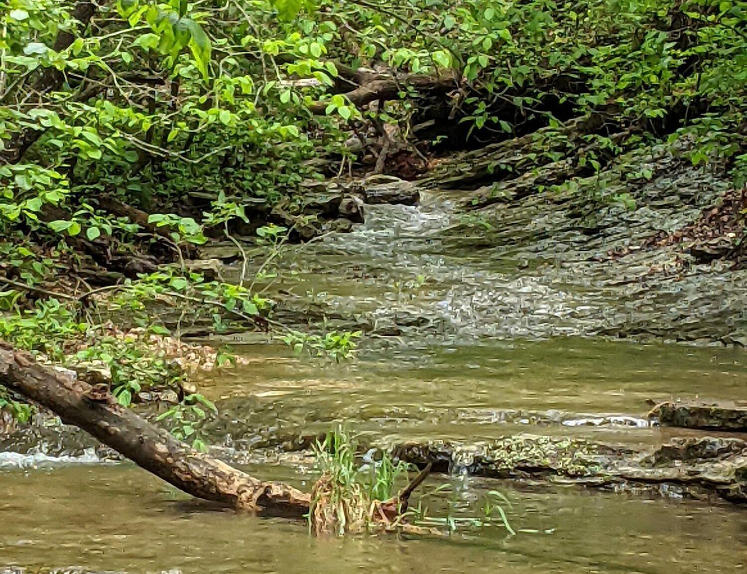 0 Coyote Ridge Rd Cassville, MO 65625 | Land/Lot