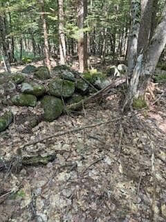 0 Tuttle Ln Bridgton, ME 04009  | Land/Lot