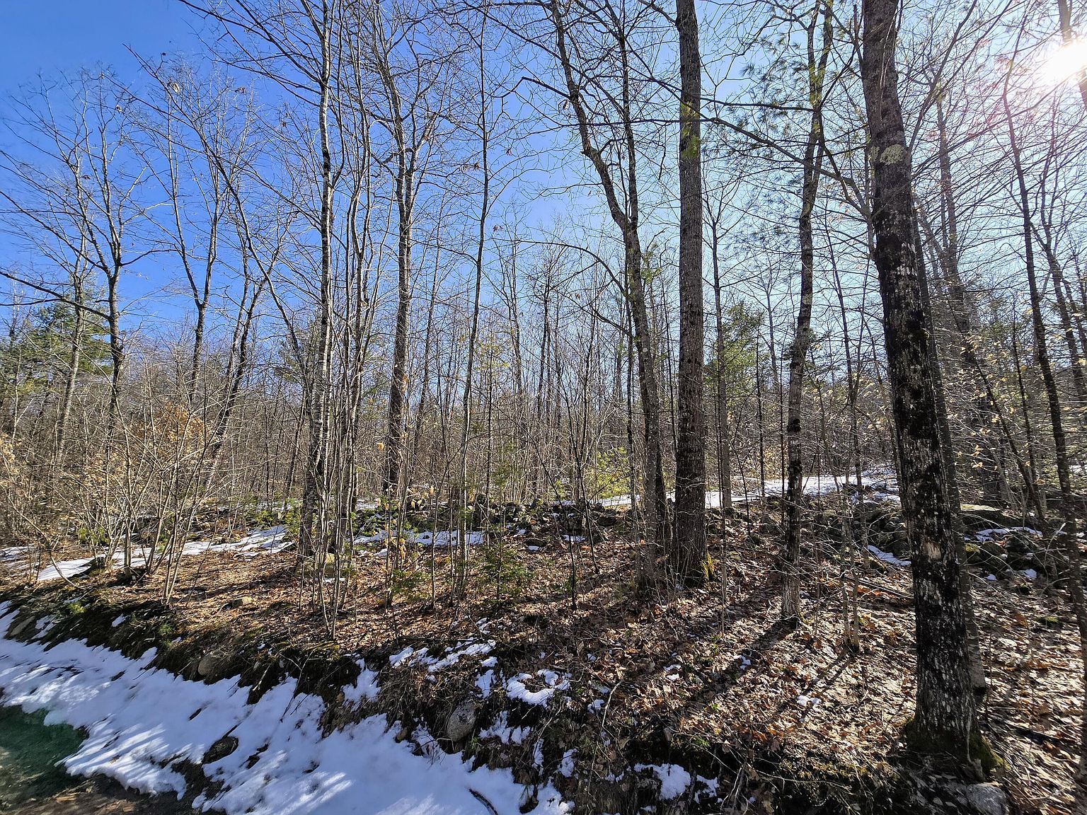 0 Sabattus Trail Rd Lovell, ME 04051  | Land/Lot