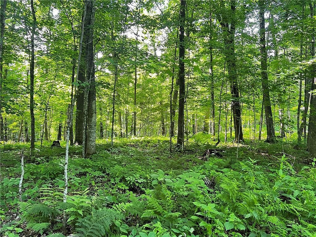 LOT 4 Balsam Dr Birchwood, WI 54817  | Land/Lot