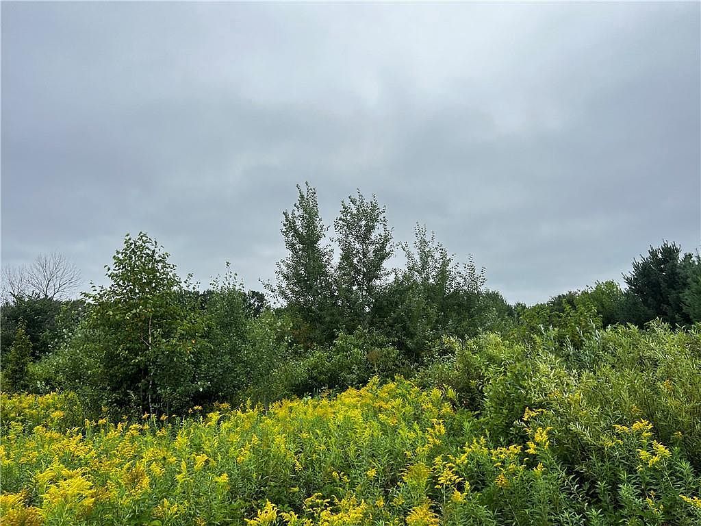 Lots 20 & 21 250th St Cadott, WI 54727  | Land/Lot