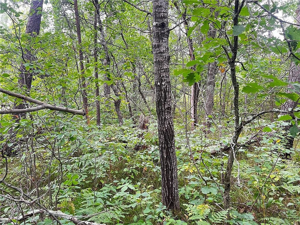 LOT 1 E County Road T Gordon, WI 54838  | Land/Lot