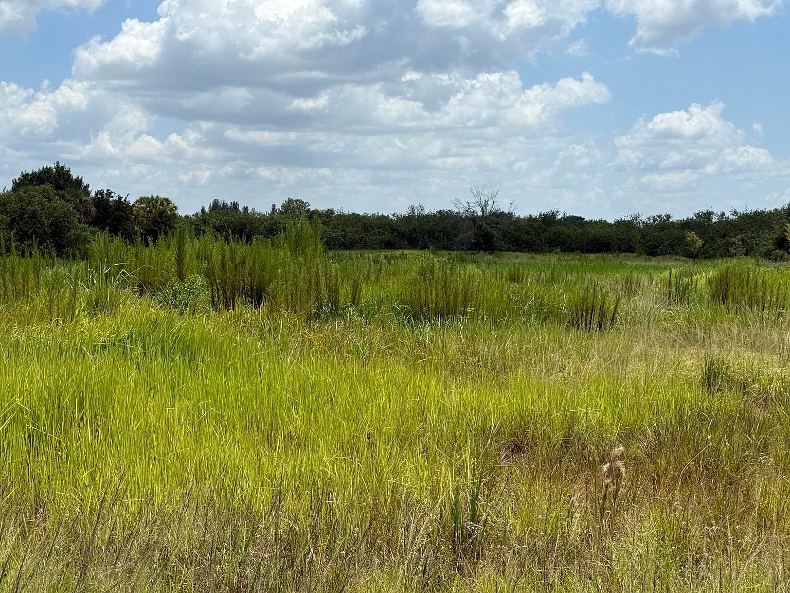 305 Fawn Trail St Palm Bay, FL 32909  | Land/Lot