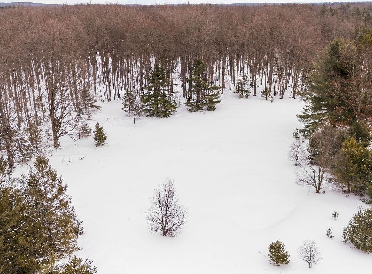 323 Blue Heron Dr SE #53 Kalkaska, MI 49646  | Land/Lot