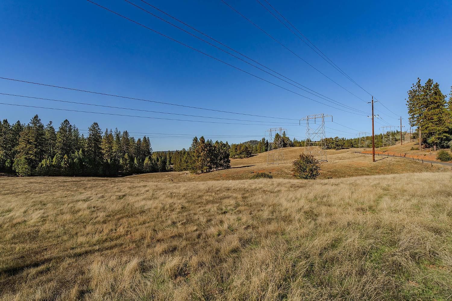 10500 Tabeaud Rd Pine Grove, CA 95665  | Land/Lot