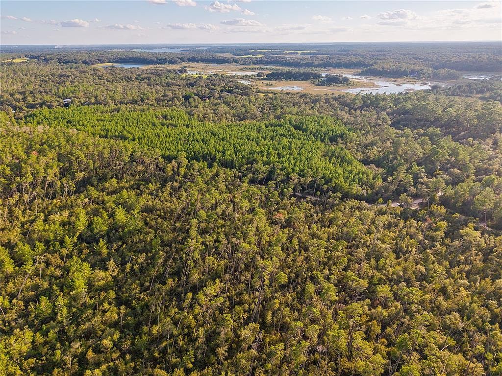 Nicatoon Retreat Umatilla, FL 32784  | Land/Lot