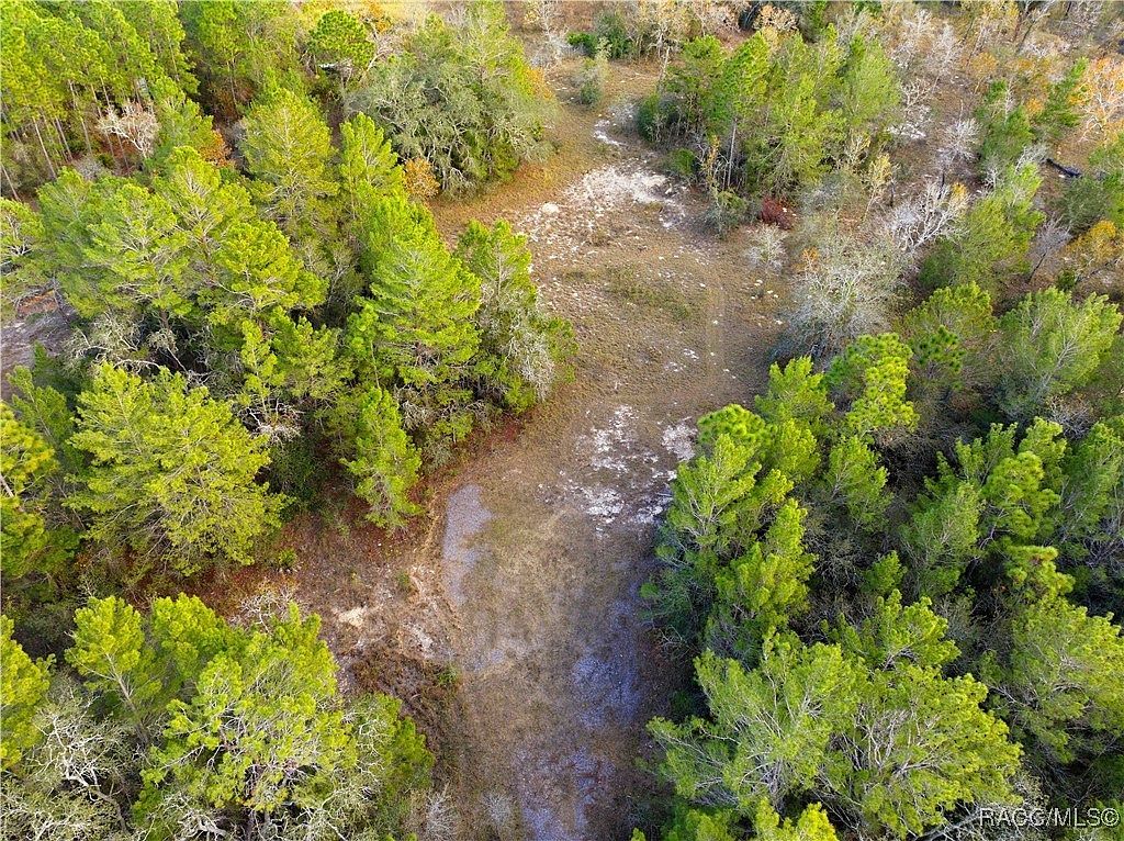 0 Backwoods Way Brooksville, FL 34614  | Land/Lot