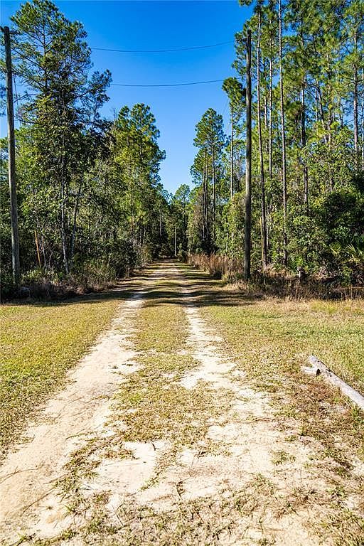 101 Thyme Dr #23 Interlachen, FL 32148  | Land/Lot