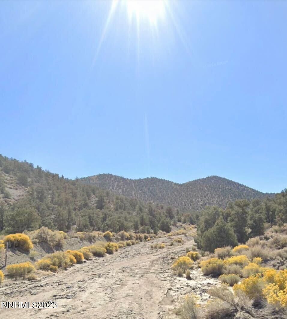 Apn #665121 Hawthorne, NV 89415 | Land/Lot