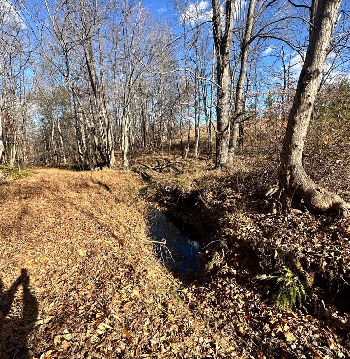 LOT -2B Police Tower Rd Appomattox, VA 24522  | Land/Lot
