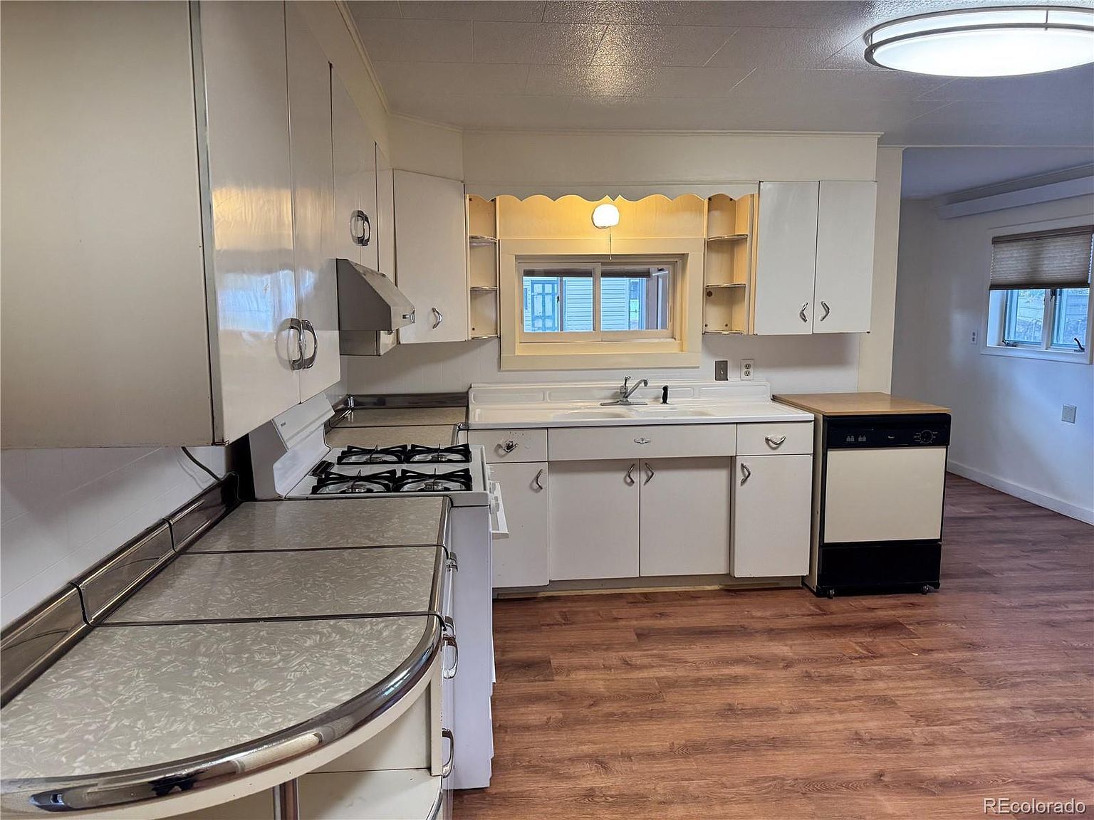 118 N San Juan Ave Buena Vista, CO 81211 | Single Family