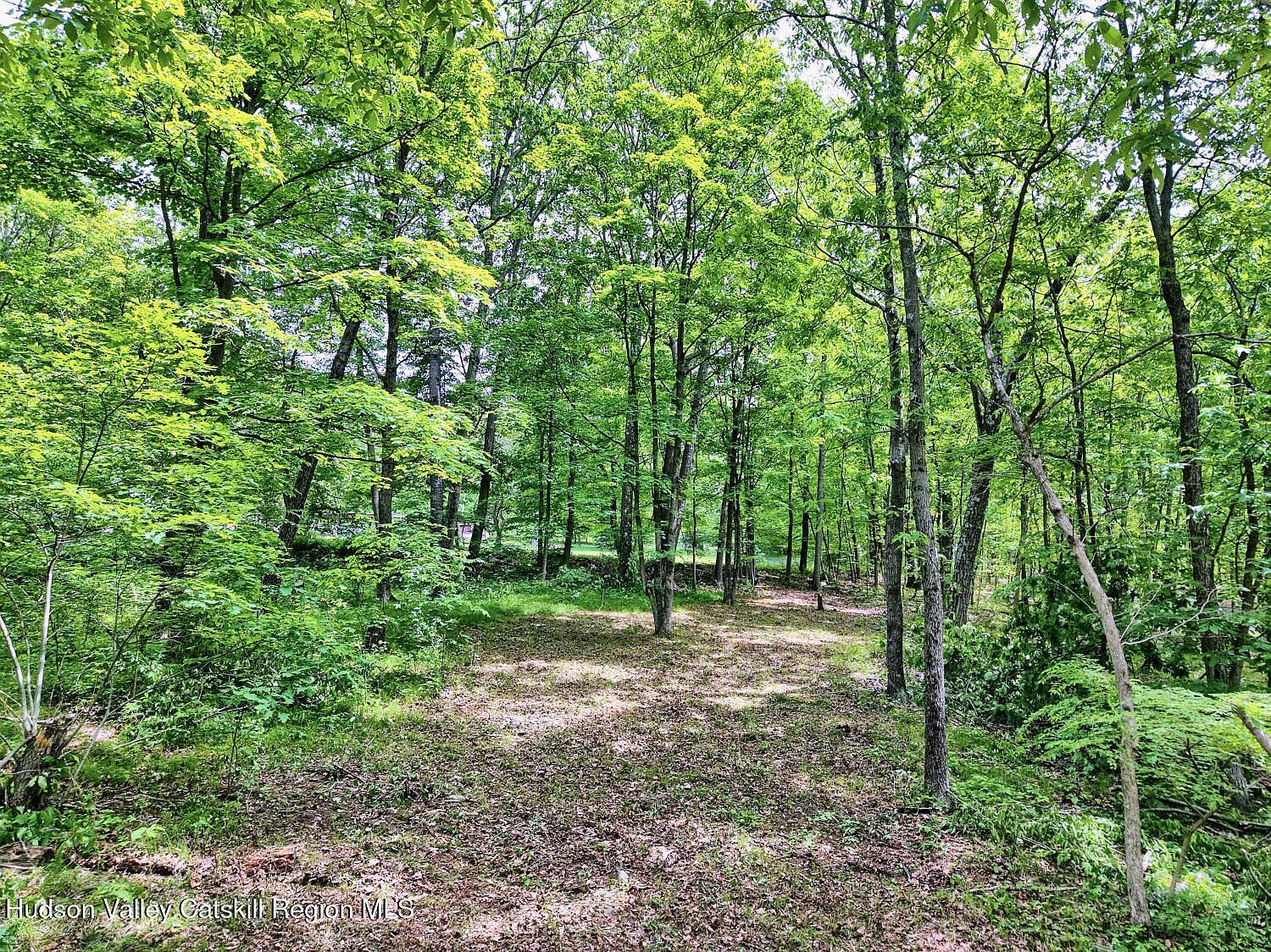 268 Potic Mountain Rd Catskill, NY 12414  | Land/Lot