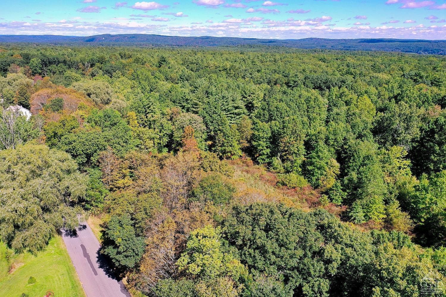 204 Joel M Austin Rd Cairo, NY 12413 | Land/Lot
