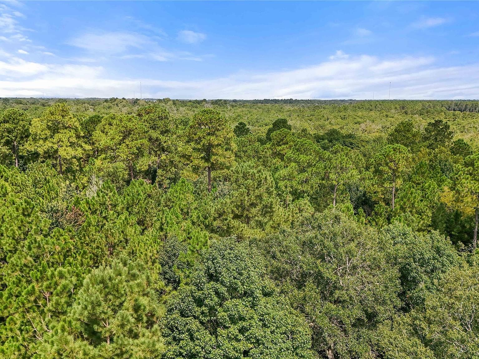 5 Highway 105 Sour Lake, TX 77659 | Land/Lot