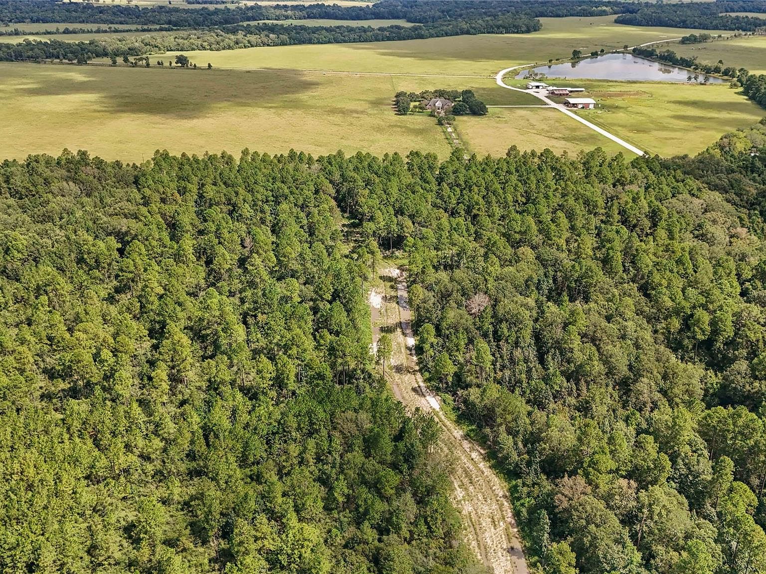 6 Highway 105 Sour Lake, TX 77659 | Land/Lot