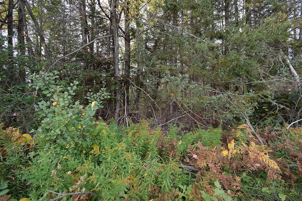 LOT 1 Old Highway 8 Laona, WI 54541  | Land/Lot