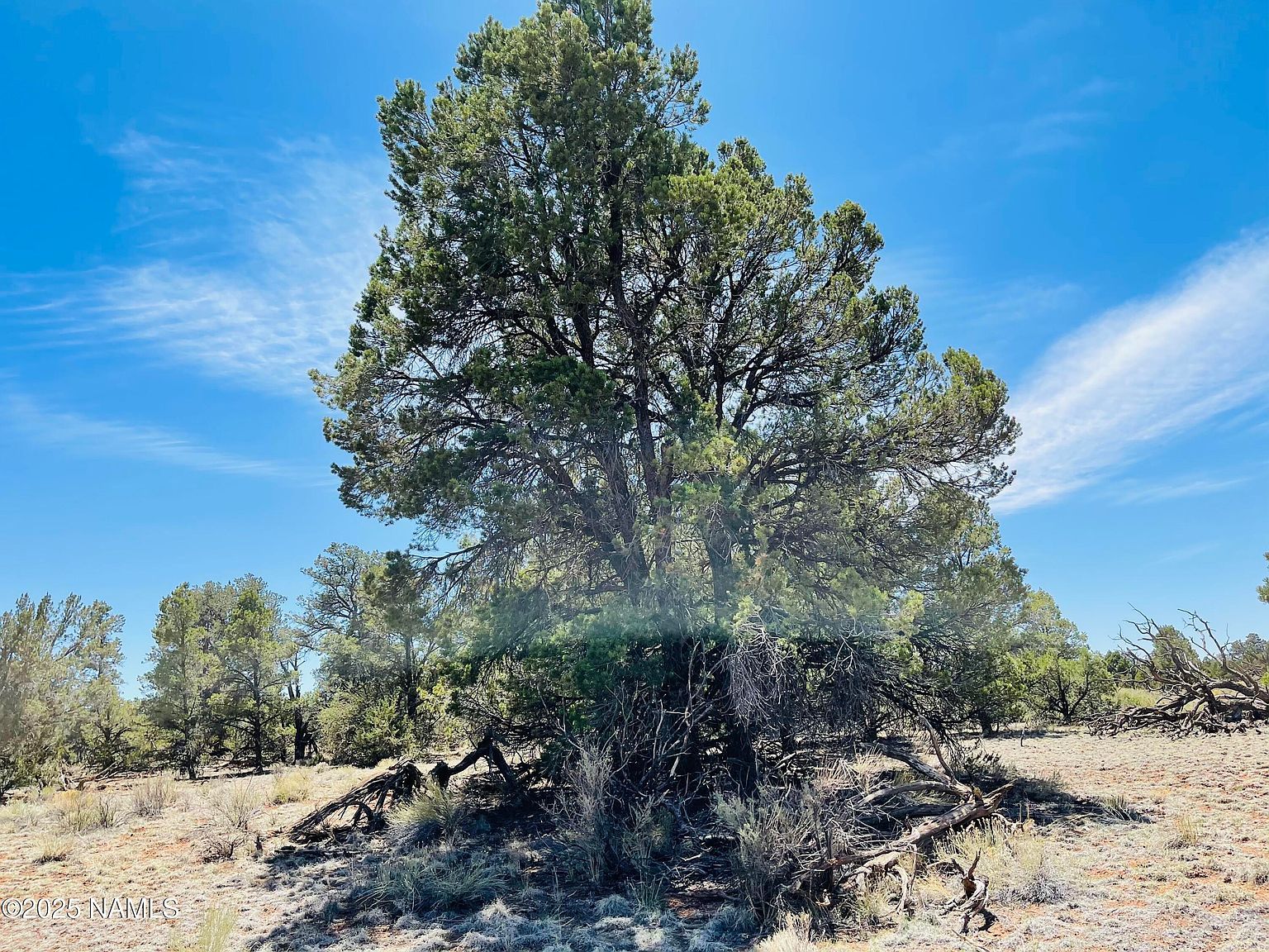 5390 N Windy Walk Way Williams, AZ 86046 | Land/Lot