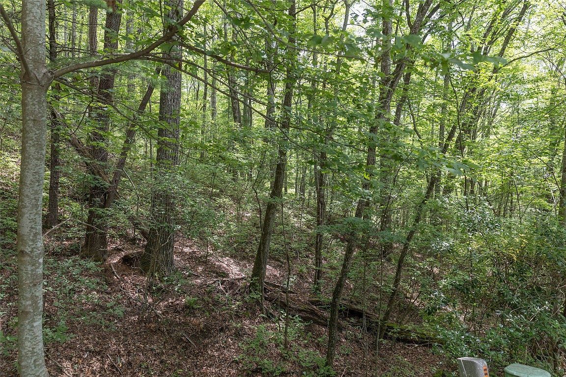 35 Buckberry Dr N Sapphire, NC 28774  | Land/Lot