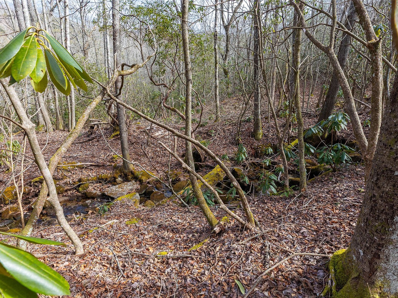 46 E Rochester Dr Cashiers, NC 28717  | Land/Lot